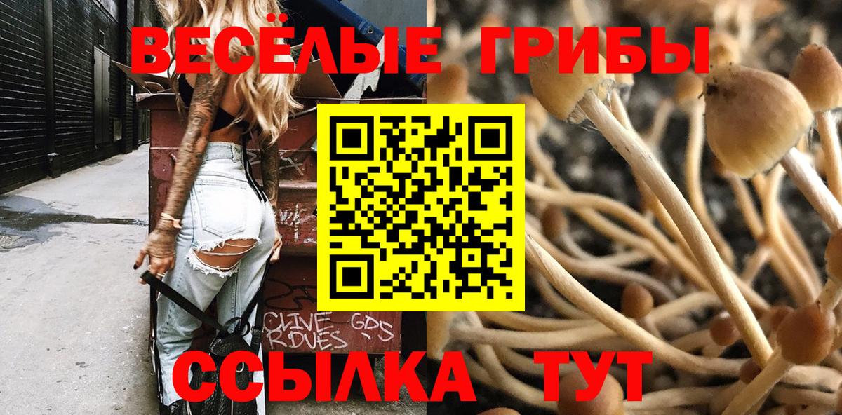 Галлюциногенные грибы Magic Shrooms Октябрьский